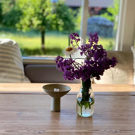 With Wild Garden Near The Sea *