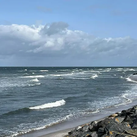 With Wild Garden Near The Sea