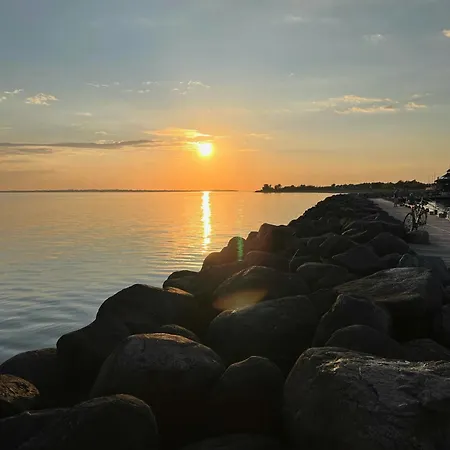With Wild Garden Near The Sea